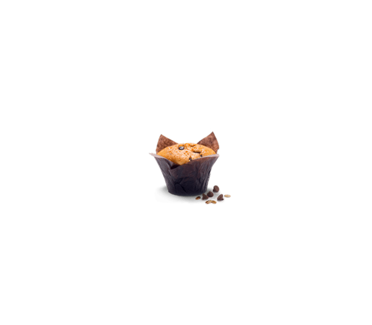 Choclate Chip Muffin